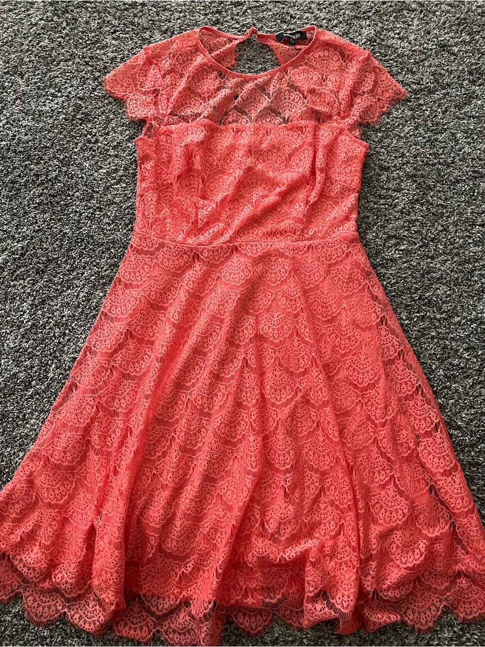 Kensie Coral Scallop Lace Dress Size 6